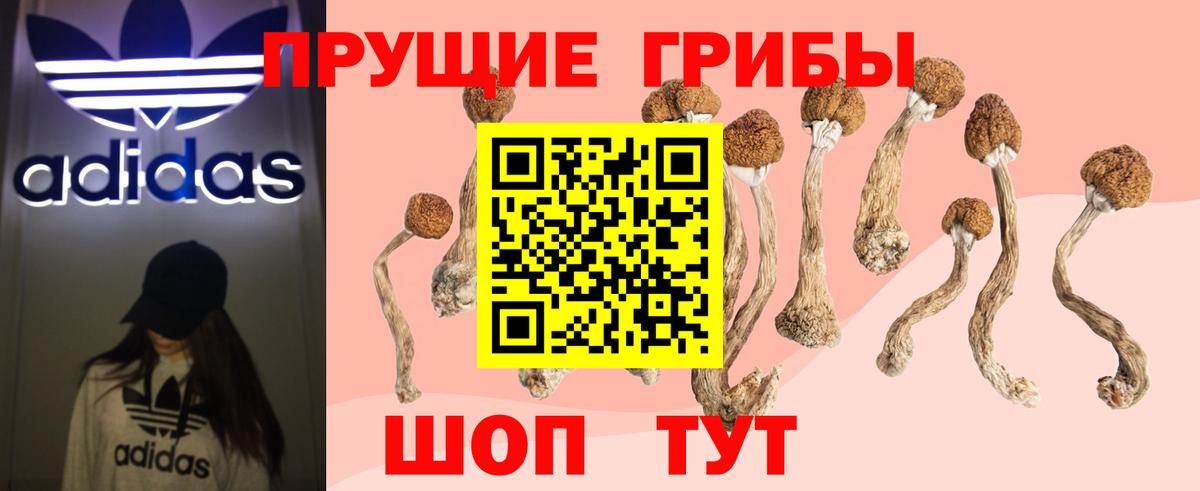 Псилоцибиновые грибы Psilocybine cubensis  Вход с VPN  Заводоуковск 