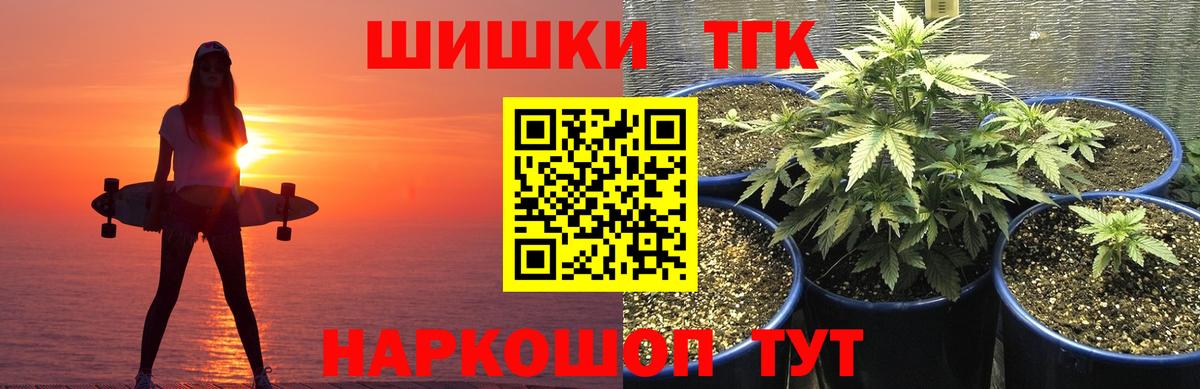 Конопля SATIVA & INDICA  Вход с VPN  Бошки марихуана планчик  Бошки марихуана THC 21%  Заводоуковск 