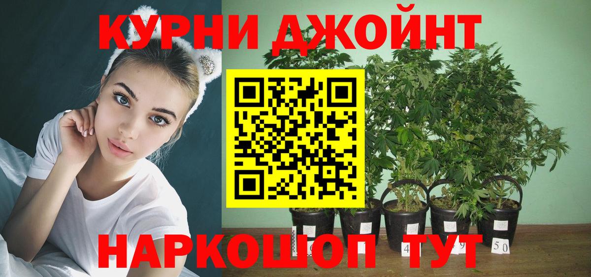 Конопля Amnesia Заводоуковск